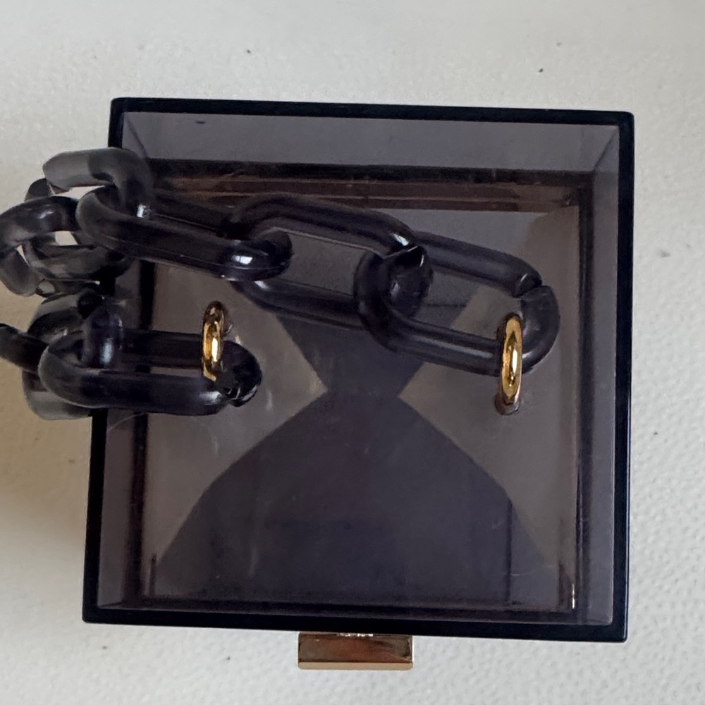 Transparent Box Clutch with Gold Accent - Picture 3 of 14